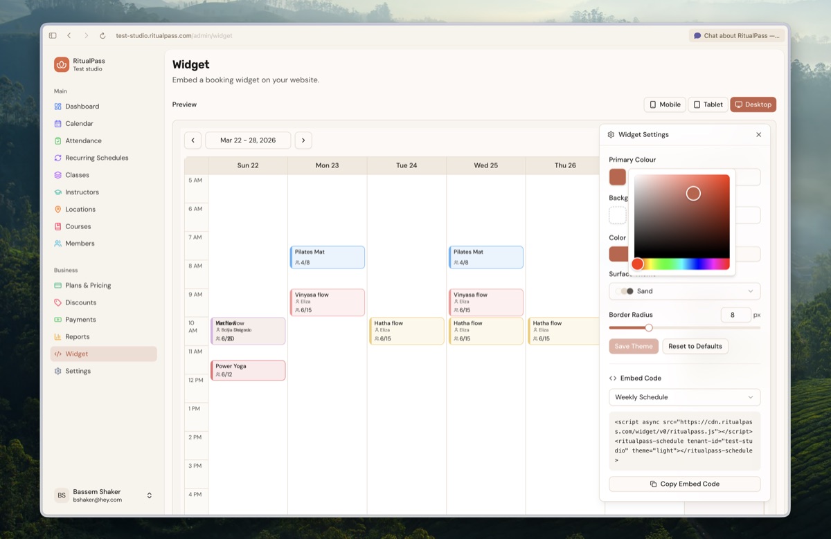 Widget settings with theme customisation and embed code